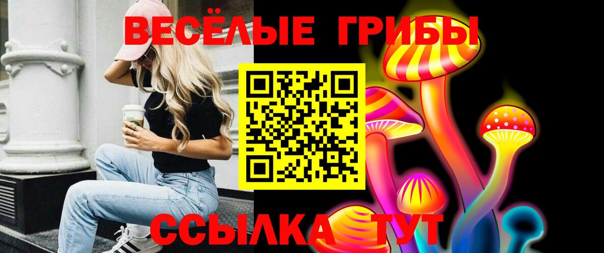 Галлюциногенные грибы мицелий Обь